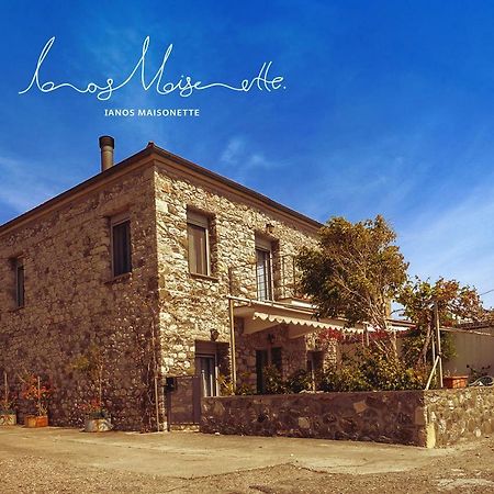 Ianos Maisonette Paralia Sergoulas Zewnętrze zdjęcie
